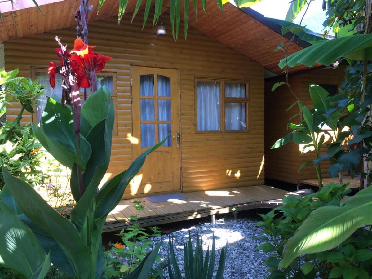 Гостевой Дом У Левы Otel Gagra Dış mekan fotoğraf