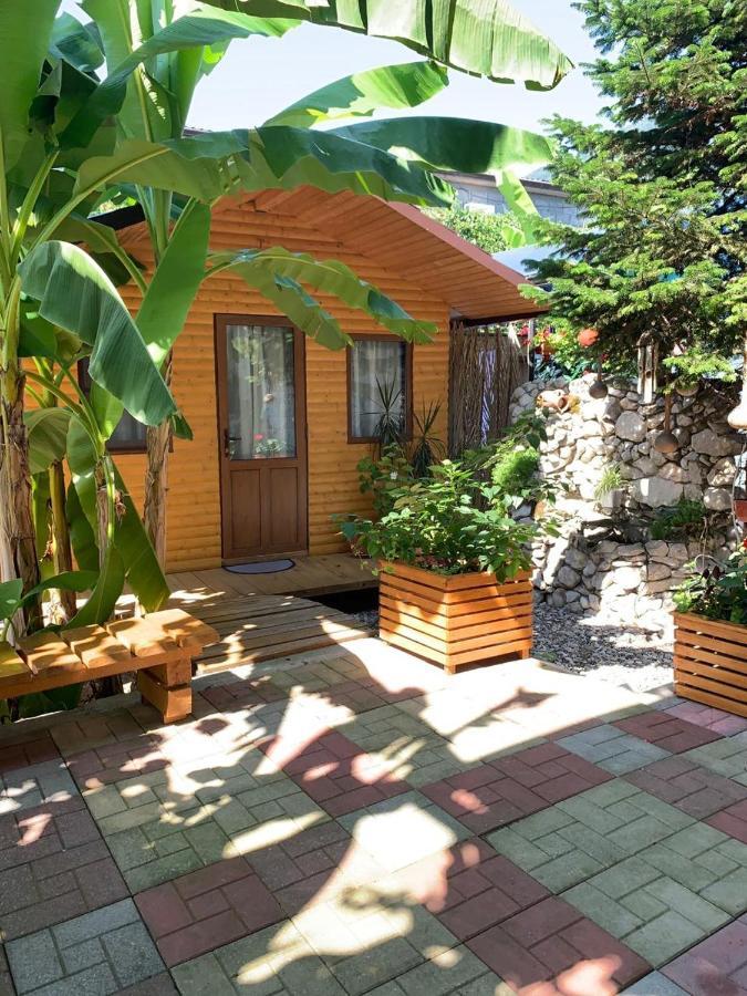 Гостевой Дом У Левы Otel Gagra Dış mekan fotoğraf