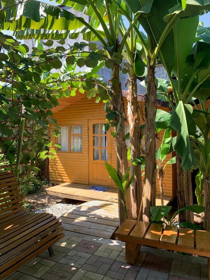Гостевой Дом У Левы Otel Gagra Dış mekan fotoğraf