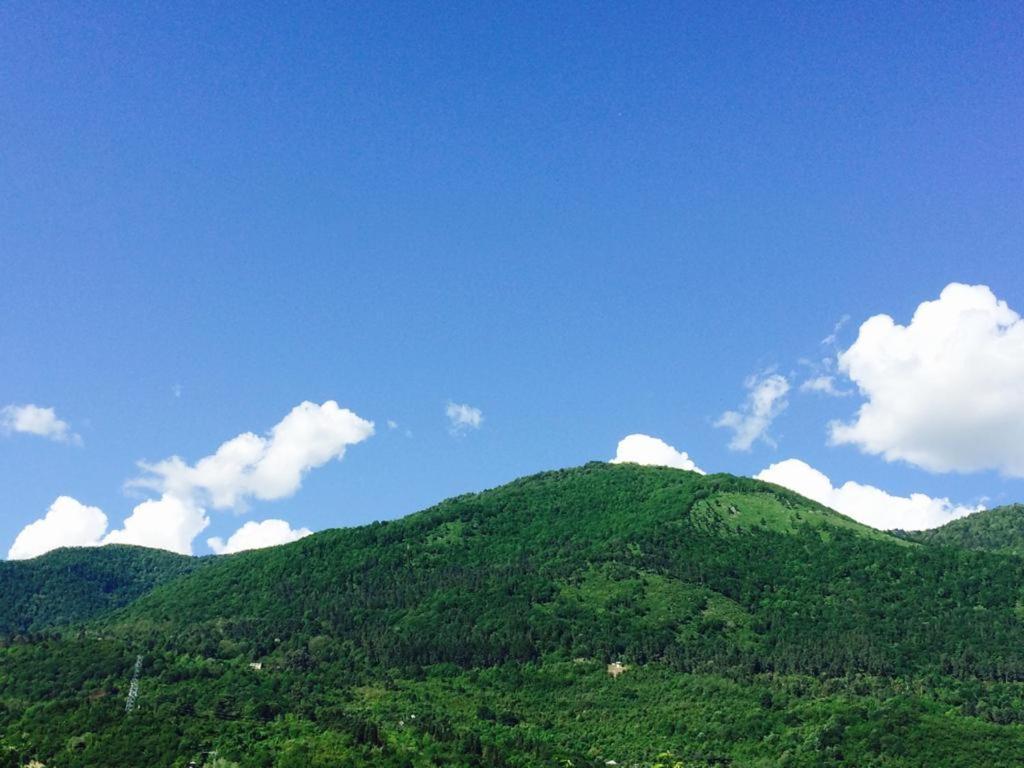 Гостевой Дом У Левы Otel Gagra Dış mekan fotoğraf