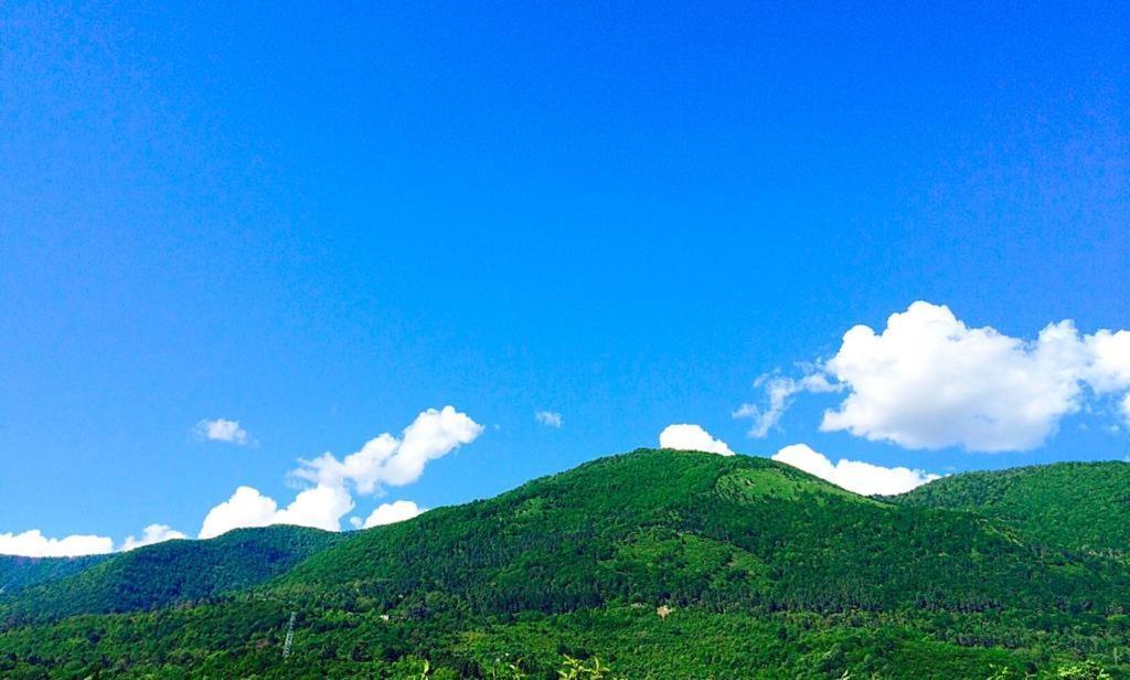 Гостевой Дом У Левы Otel Gagra Dış mekan fotoğraf